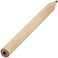 Набор цветных карандашей Pencilvania Tube Plus, крафт small_img_3