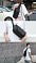Наплечная сумка ClickSling, черная small_img_5