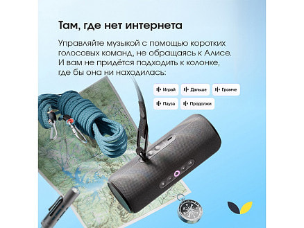 Умная портативная колонка Яндекс Станция Стрит с Алисой, черный (YNDX-00030BLK)