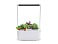 Компактный смарт-сад iGarden PRO с подсветкой small_img_1