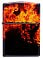 Зажигалка ZIPPO Fusion Inferno Design с покрытием 540 Tumbled Brass, латунь/сталь, разно small_img_2