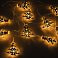 Светодиодная гирлянда Silver Lights small_img_2