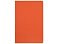 Ежедневник А5 датированный Megapolis Color 2026, оранжевый small_img_2