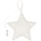 Декоративная подвеска Party Star small_img_5