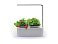Компактный смарт-сад iGarden LED с подсветкой small_img_1