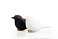 Набор для специй Sparrow Salt   Pepper small_img_2