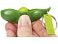 Брелок с антистрессом Sweatpea, зеленый small_img_3