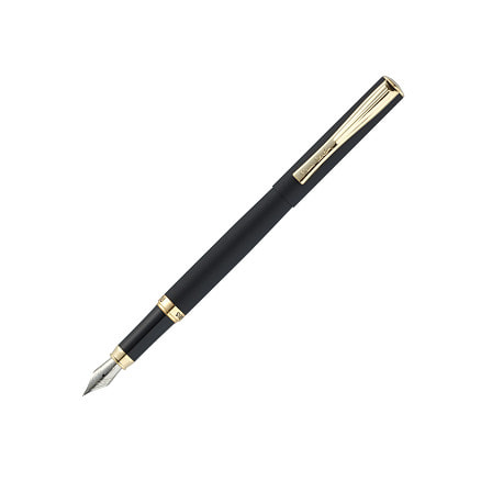 Ручка перьевая Pierre Cardin ECO,, черный матовый. Упаковка Е
