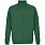ТЕМНО-ЗЕЛЕНАЯ
