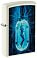 Зажигалка ZIPPO Woman in Tube с покрытием Glow In The Dark Green, латунь/сталь, белая, 38x13x57 мм small_img_1
