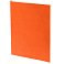 Ежедневник Flat Light, недатированный, оранжевый small_img_4