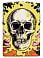 Зажигалка ZIPPO Skull Design с покрытием Glow In The Dark Green,латунь/сталь,разно small_img_2