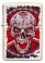 Зажигалка ZIPPO Skull Design с покрытием Mercury Glass, латунь/сталь, белая, 38x13x57 мм small_img_4