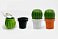 МЕЛЬНИЦА ДЛЯ СПЕЦИЙ Tasty Cactus small_img_2