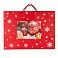 Пакет малый  RED WONDER 32*27*11 см, красный small_img_2