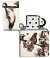 Зажигалка ZIPPO Spazuk Design с покрытием 540 Matte, латунь/сталь, разно small_img_4