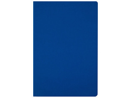 Ежедневник недатированный А5 Megapolis Color Flex New, синий