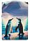 Зажигалка ZIPPO Penguin с покрытием Glow In The Dark Green, латунь/сталь, разно small_img_2
