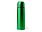 Термос SALVIA 500 мл, папоротниковый_ПАПОРОТНИКОВЫЙ