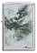 Зажигалка ZIPPO Luis Royo с покрытием Street Chrome, латунь/сталь, серебристая, 38x13x57 мм small_img_2