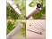 Шариковая ручка Waterman Perspective, цвет: Champagne CT, стержень Mblue small_img_4